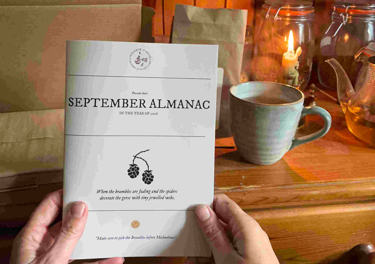 September Almanac beside a cup of smoky autumn tea and candlelight