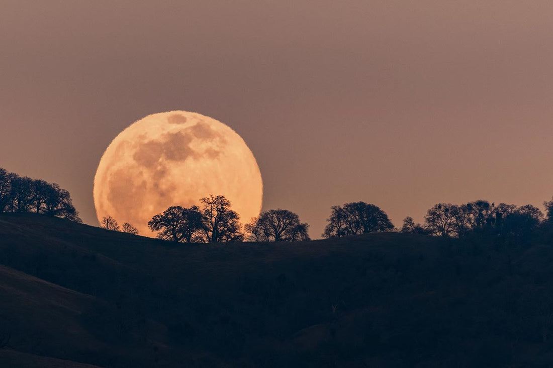Full moon lunar gardening guide
