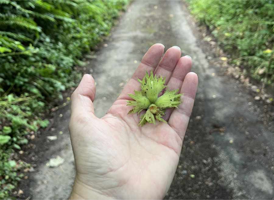 What is slow living?