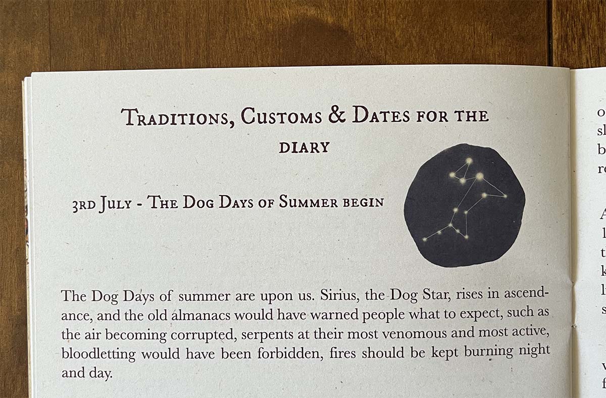 Hedgerow and Moor July Almana the dog days of summer