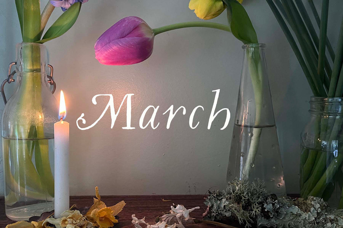 Why Fresh Flowers in the Home Lift Your Mood — The Meaning of Spring Flowers