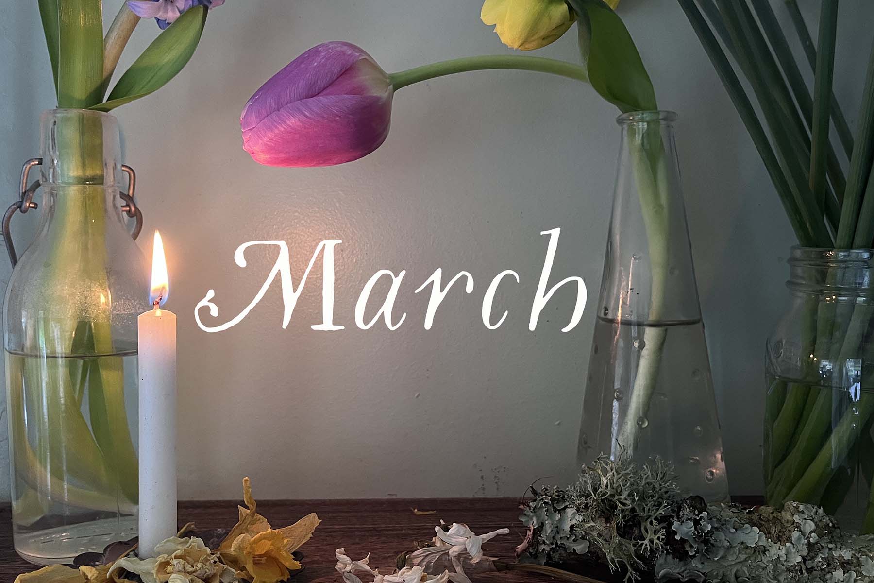 Why Fresh Flowers in the Home Lift Your Mood — The Meaning of Spring Flowers