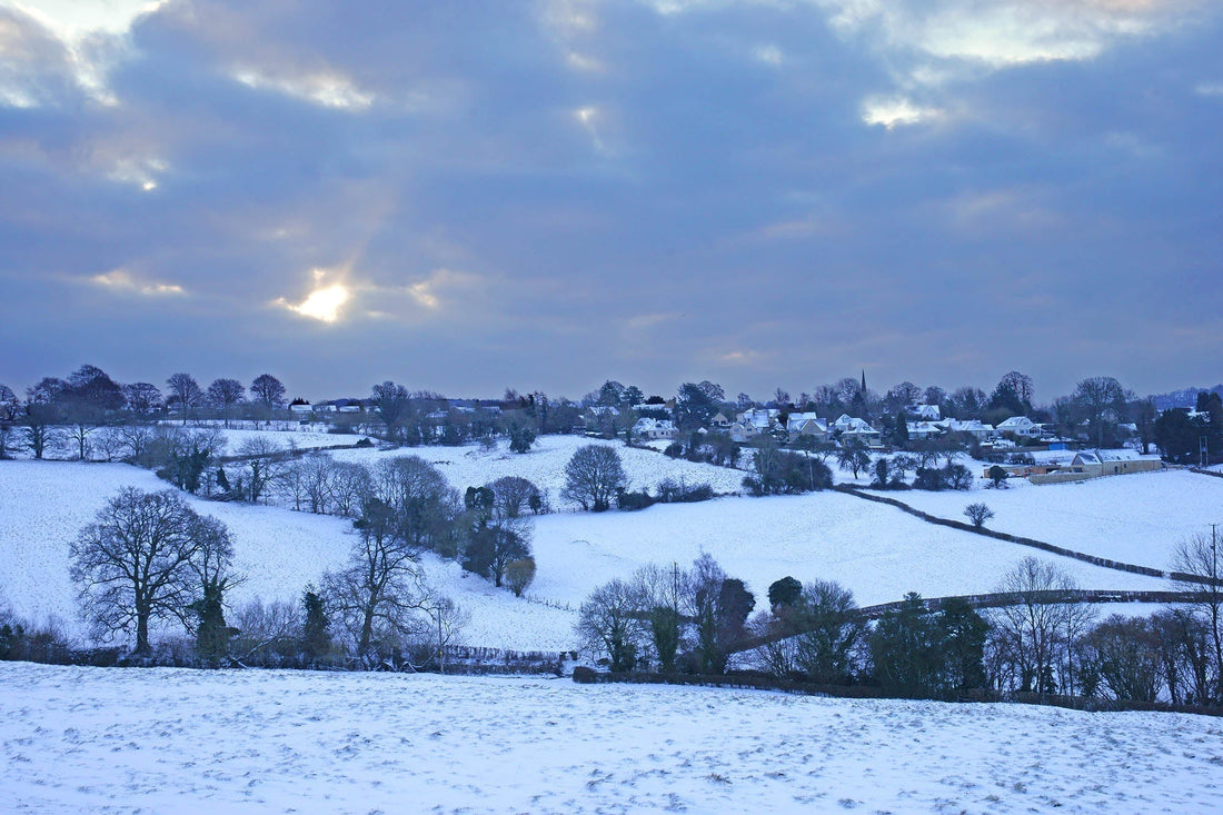 a winter scene of the Cornish countryside