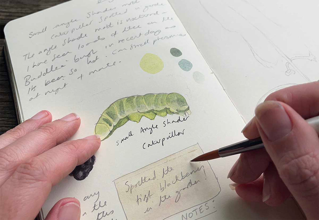 Hedgerow and Moor how to record signs of nature in your nature journal