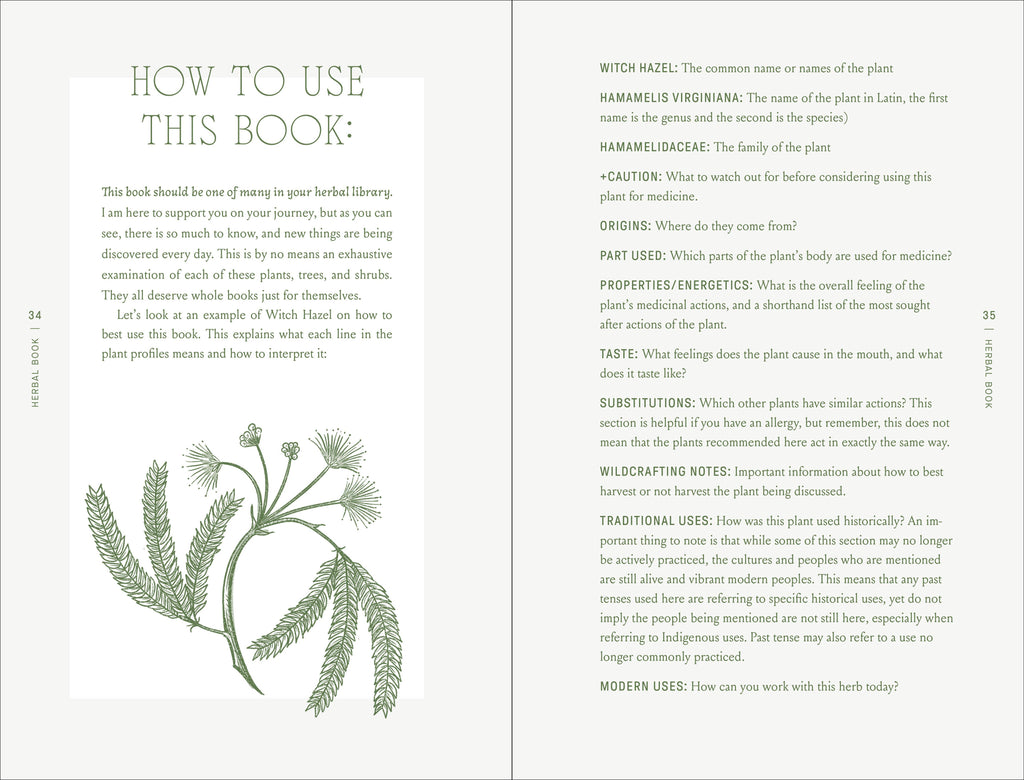 Complete Folk Herbal by Rebecca Beyer