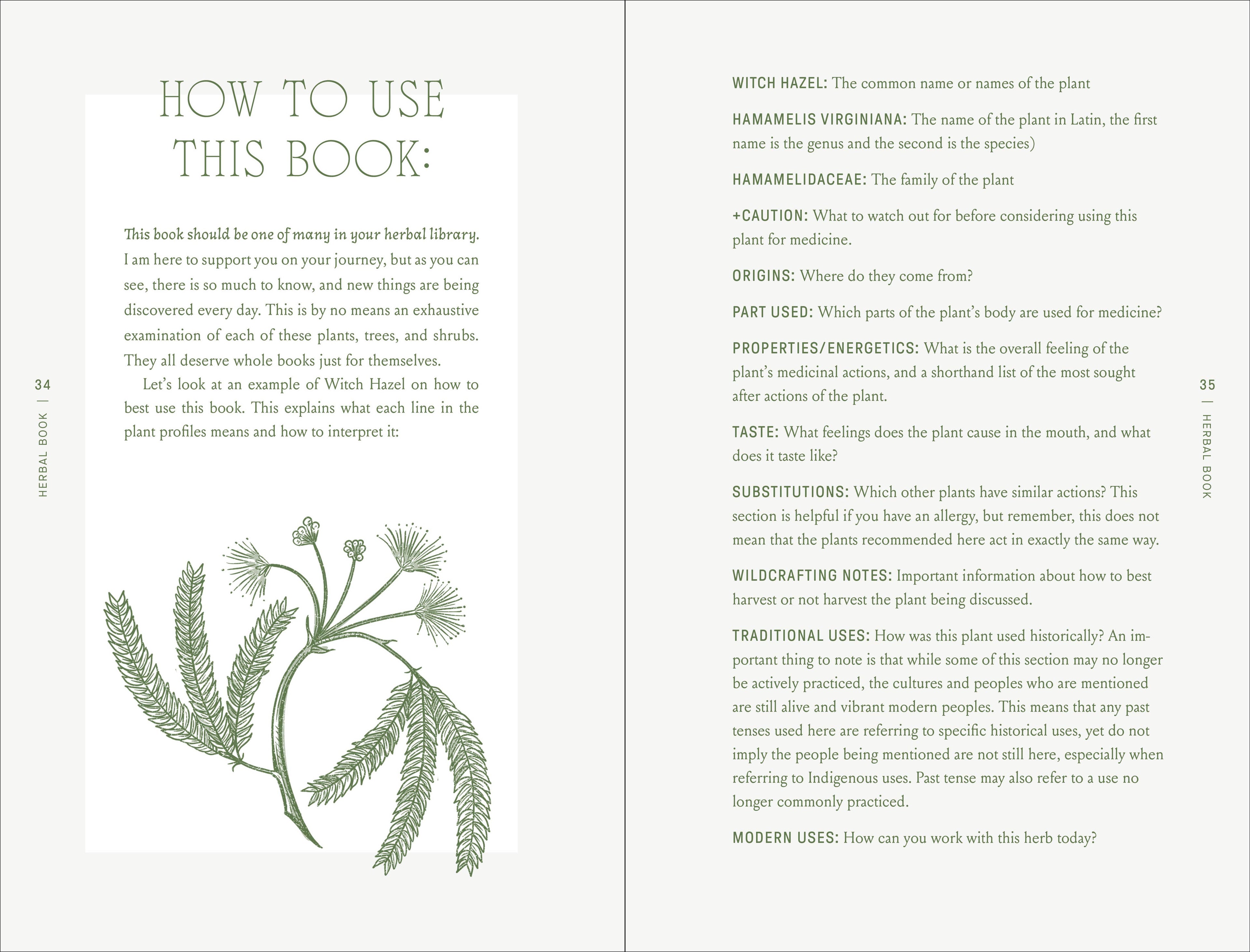 Complete Folk Herbal by Rebecca Beyer