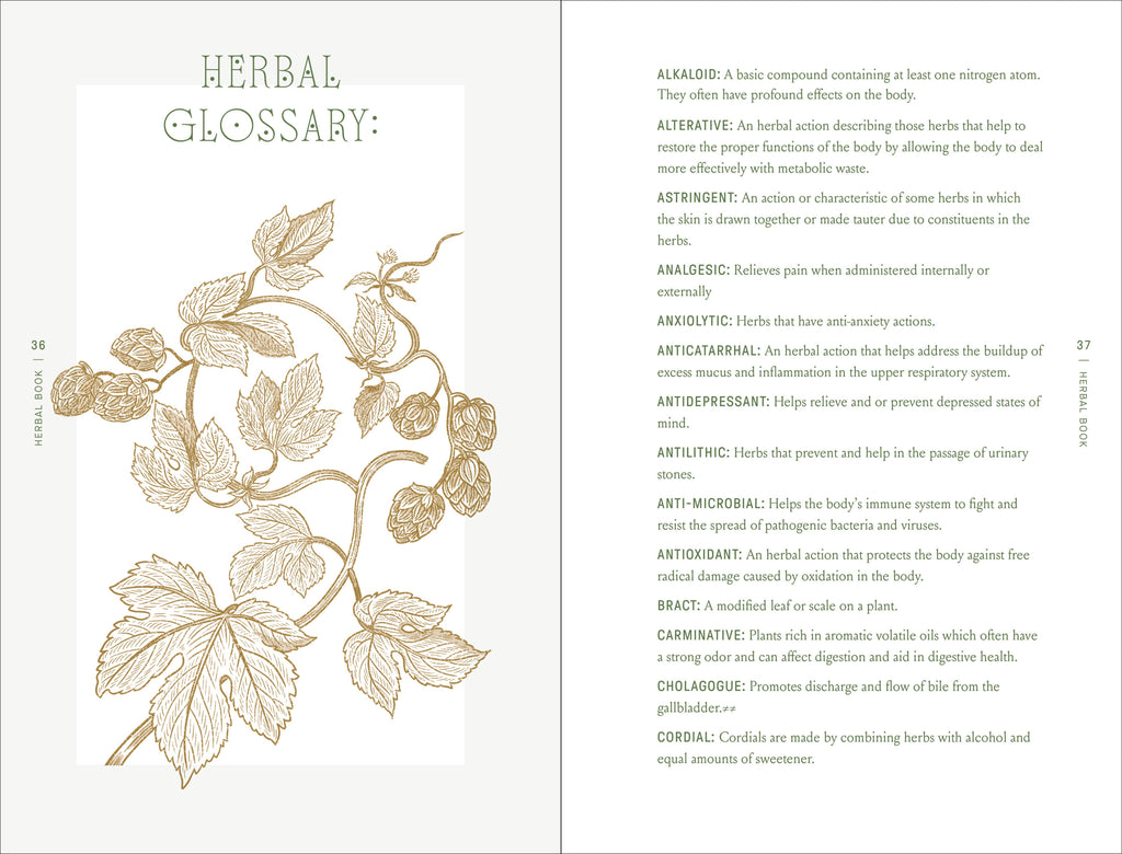 Complete Folk Herbal by Rebecca Beyer