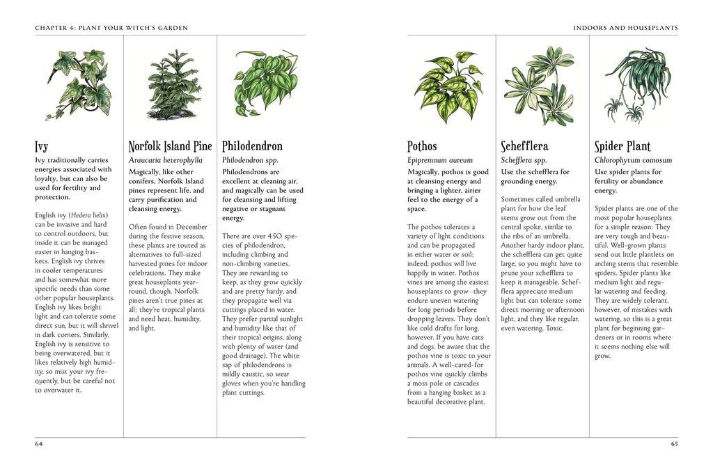Page from a book or magazine featuring illustrations of plants with text descriptions.