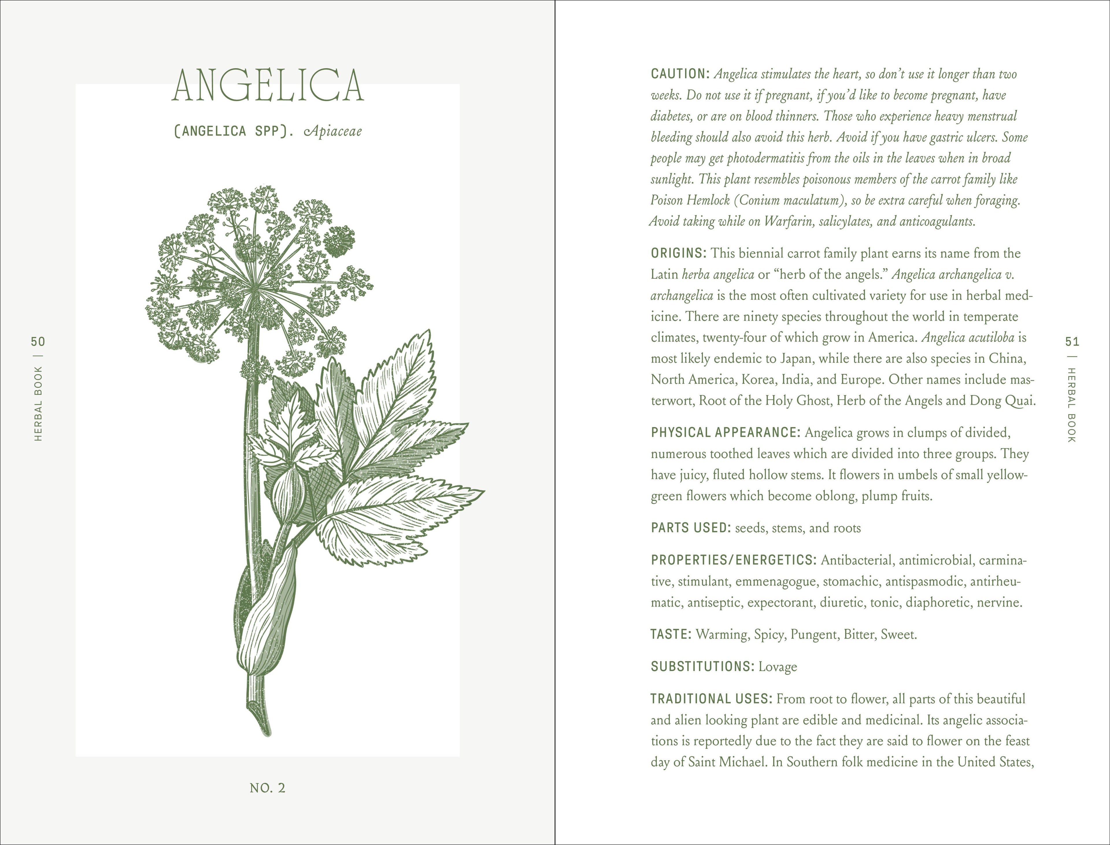 Complete Folk Herbal by Rebecca Beyer