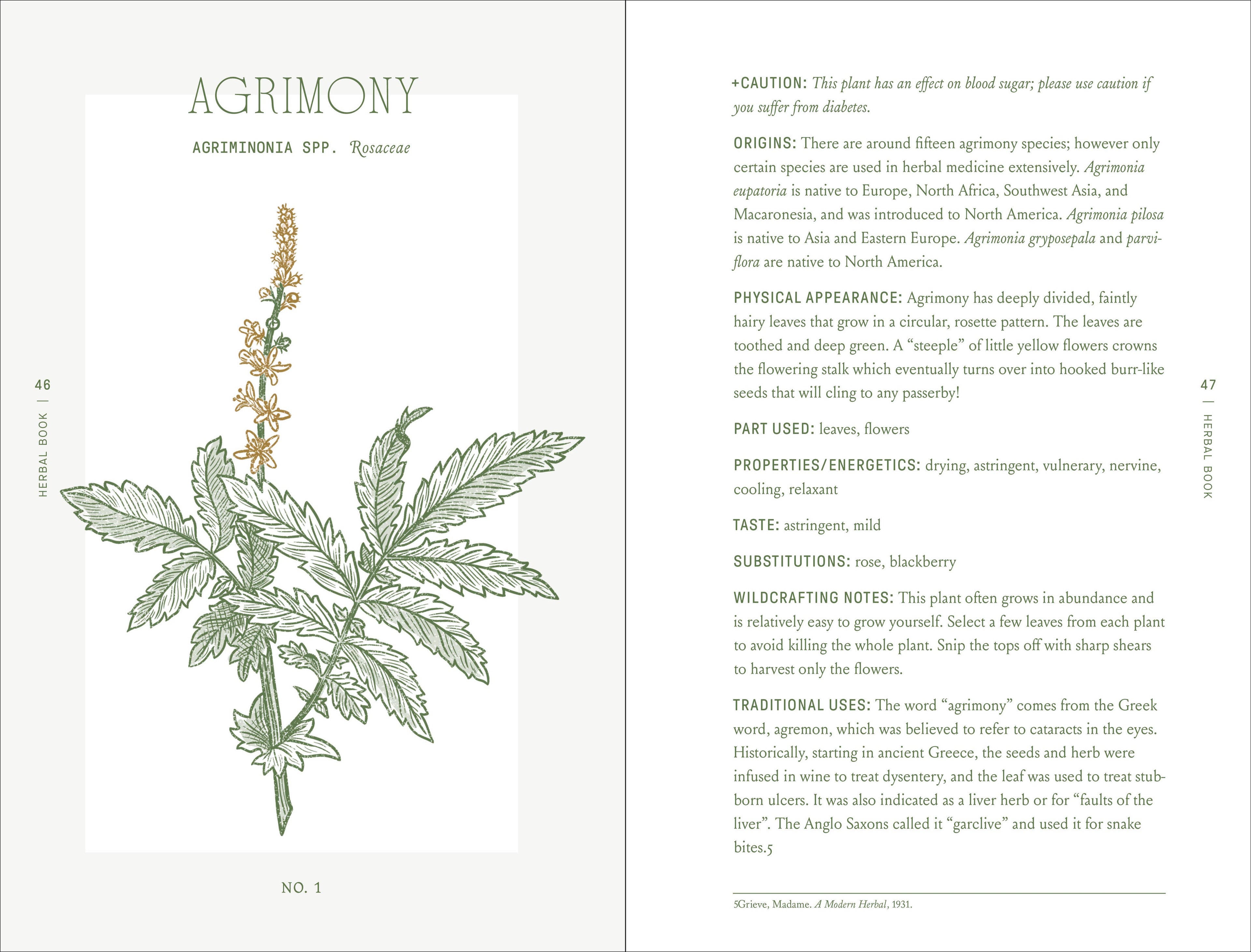 Complete Folk Herbal by Rebecca Beyer