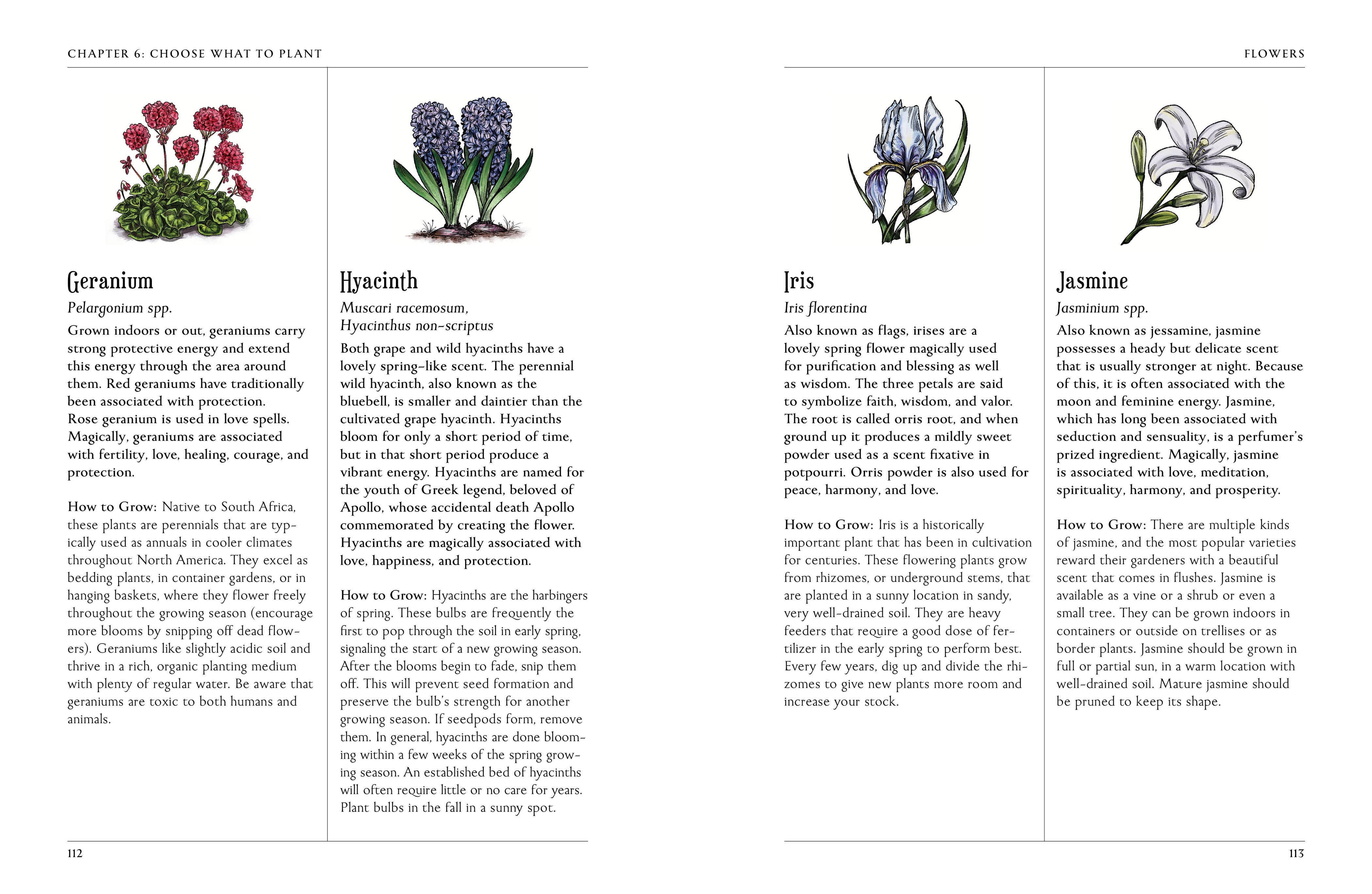 Book page with illustrations of flowers and their names