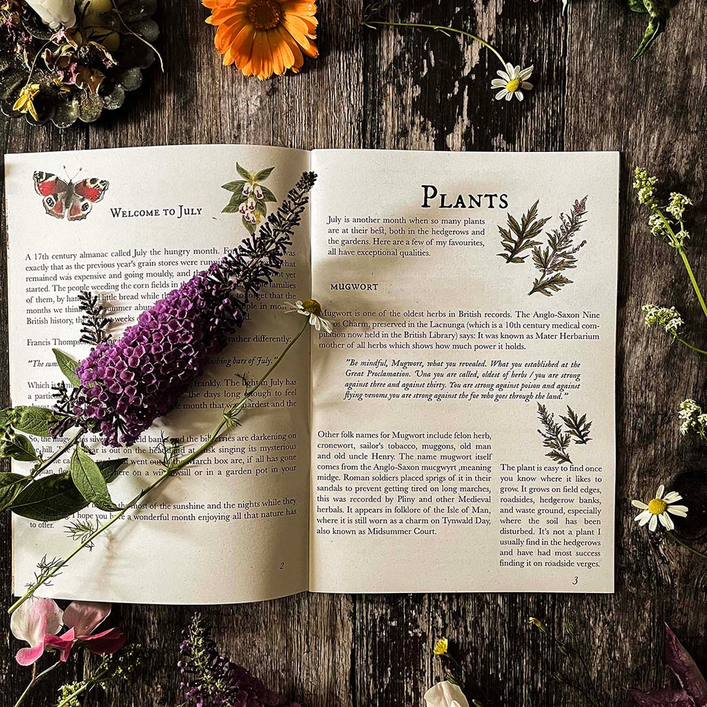 Open Hedgerow and moor almanac with text and illustrations of plants on a wooden surface with flowers.