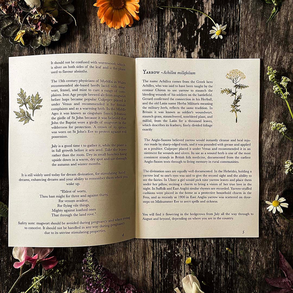 Open hedgerow and moor almanac about yarrow with text and illustrations on a wooden surface with flowers