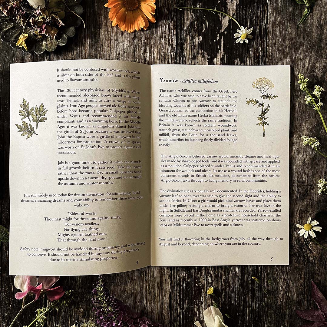 Open hedgerow and moor almanac about yarrow with text and illustrations on a wooden surface with flowers