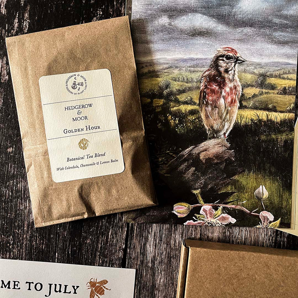 Hedgerow and moor Golden hour Tea package with a Linnet bird illustration on a wooden surface
