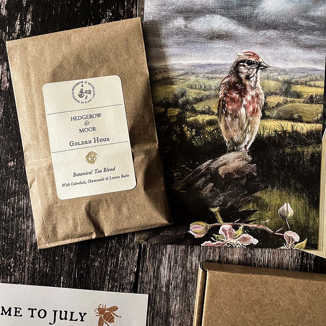 Hedgerow and moor Golden hour Tea package with a Linnet bird illustration on a wooden surface