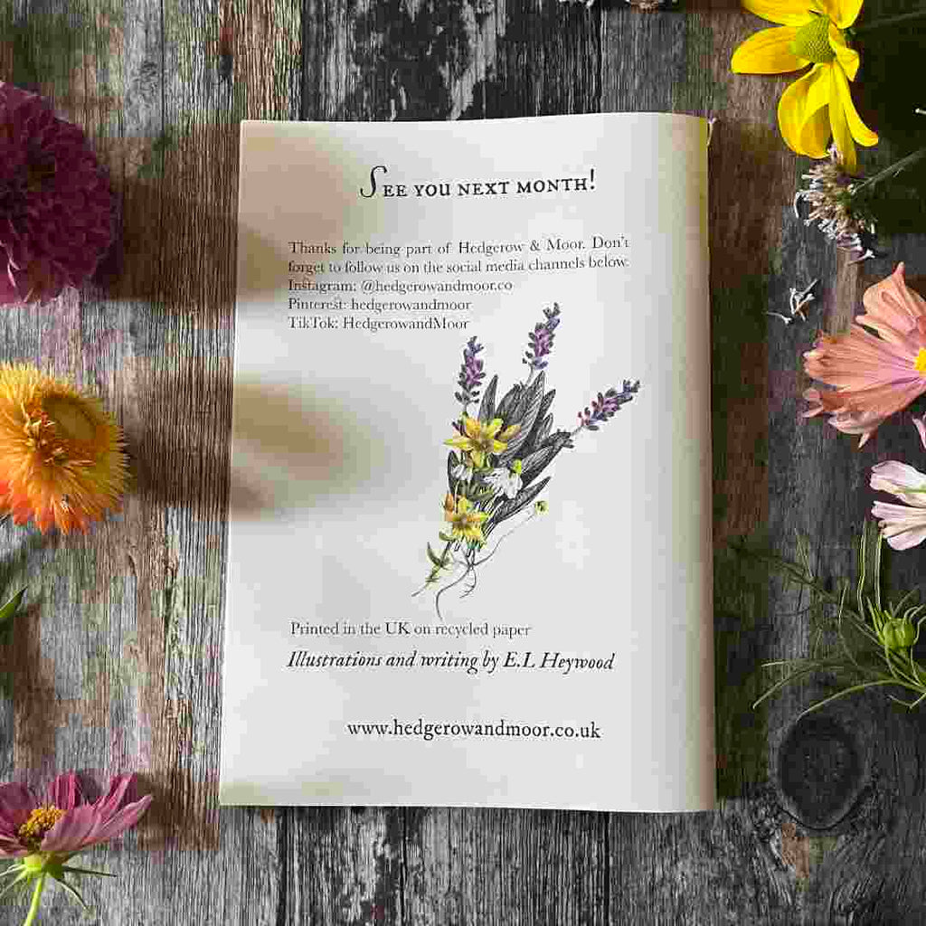 The August Almanac Zine - Lammas, Lughnasadh and the month of harvest and abundance