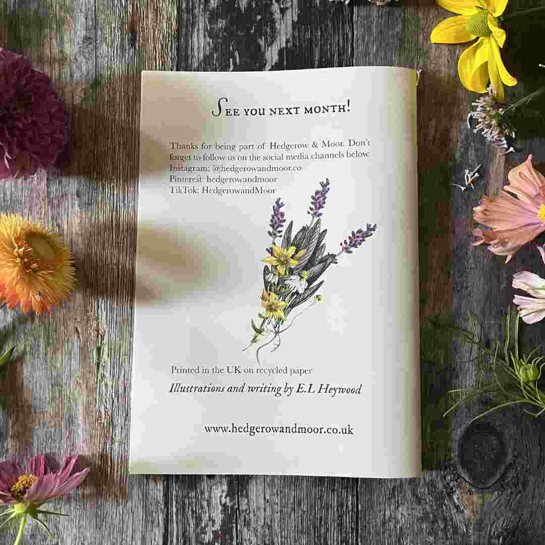 The August Almanac Zine - Lammas, Lughnasadh and the month of harvest and abundance