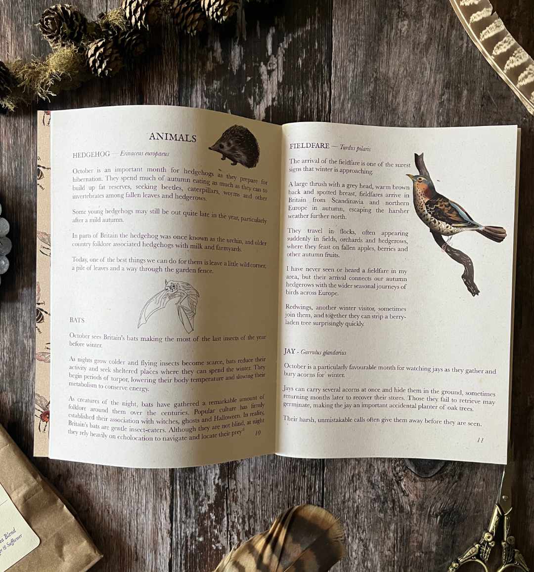 A copy of the hedgerow and moor wildlife, folklore and nature zine on a rustic wooden table

