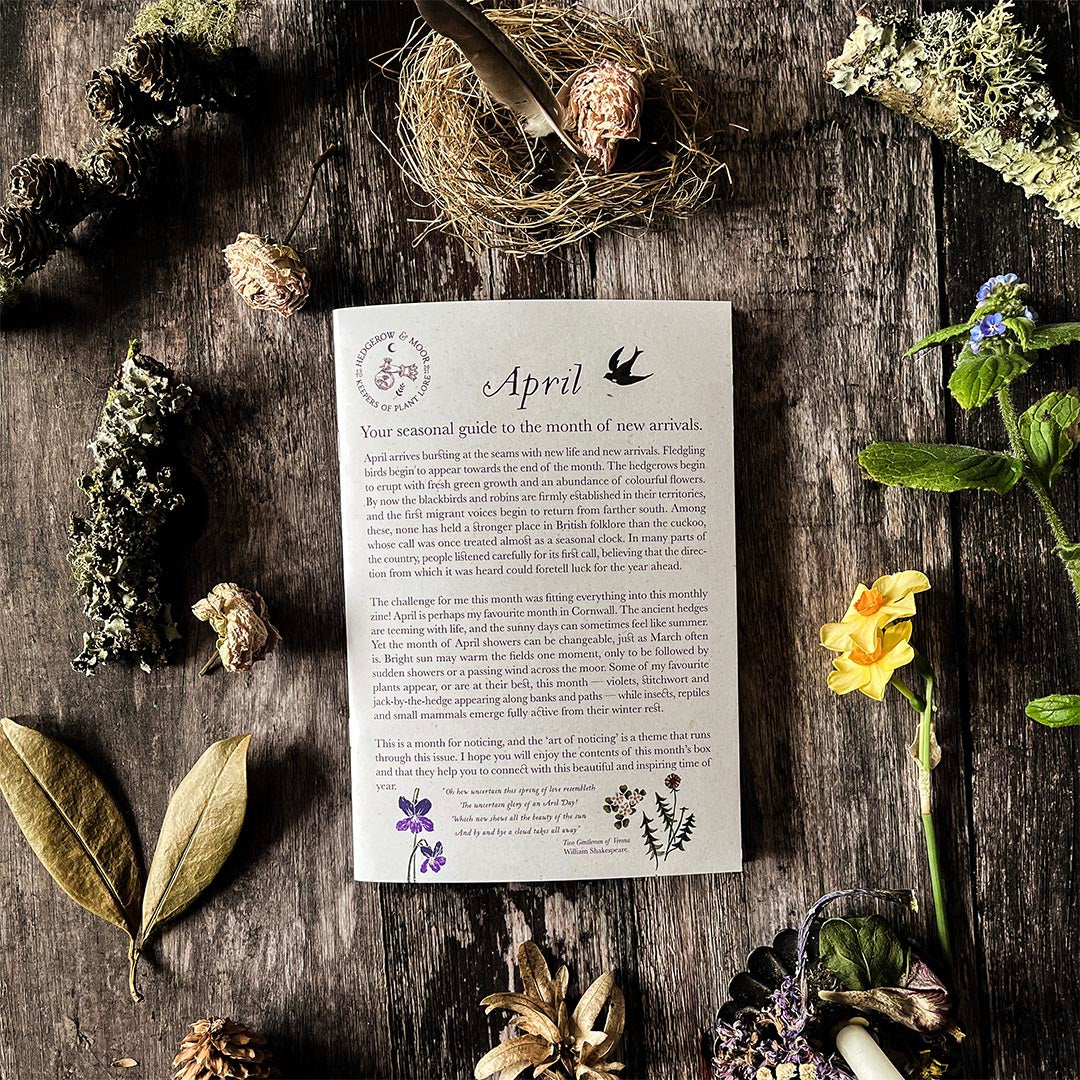 Hedgerow and moor seasonal almanac zine for April