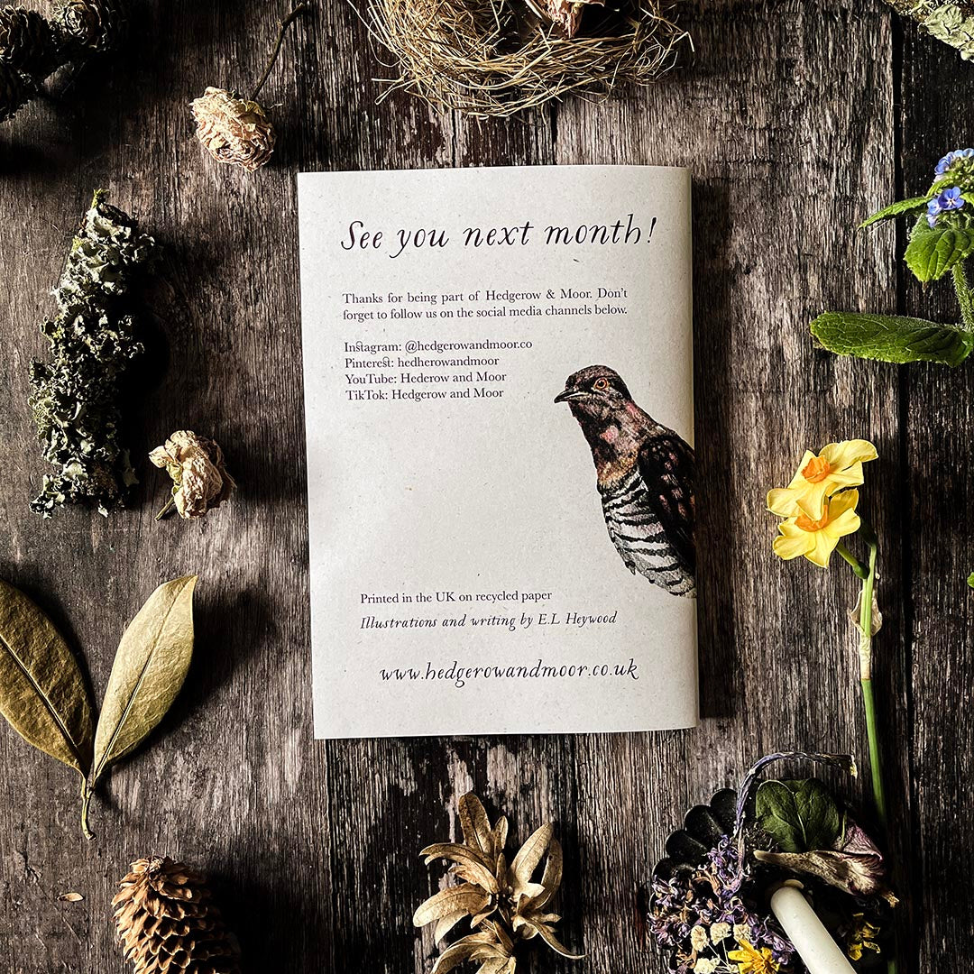hedgerow and moor seasonal zine with text and a bird illustration on a wooden surface with natural elements.