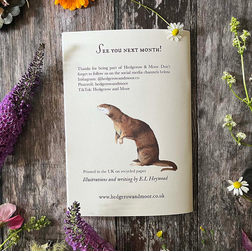 Booklet with an otter illustration on a wooden surface with flowers