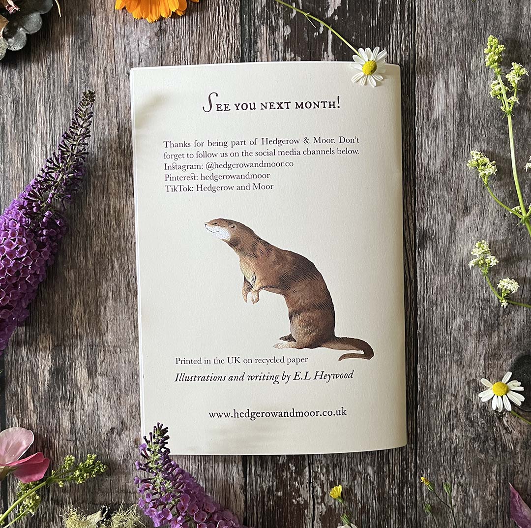 Booklet with an otter illustration on a wooden surface with flowers