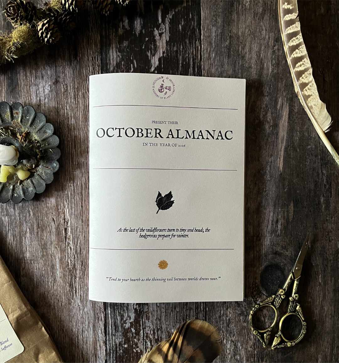 A copy of a hedgerow and moor october issue of the almanac zine seasonal nature magazine
