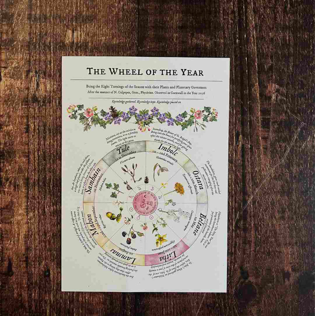 A vintage-style 'The Wheel of the Year' print laid flat on a dark wood surface. The circular diagram features seasonal and elemental sections with illustrated plants, animals, and flowers, printed in black, pink, and green on an off-white paper background.