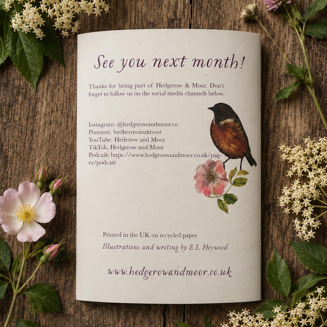 The June Almanac Zine — a seasonal guide to Midsummer, plant folklore and the natural world — Hedgerow & Moor