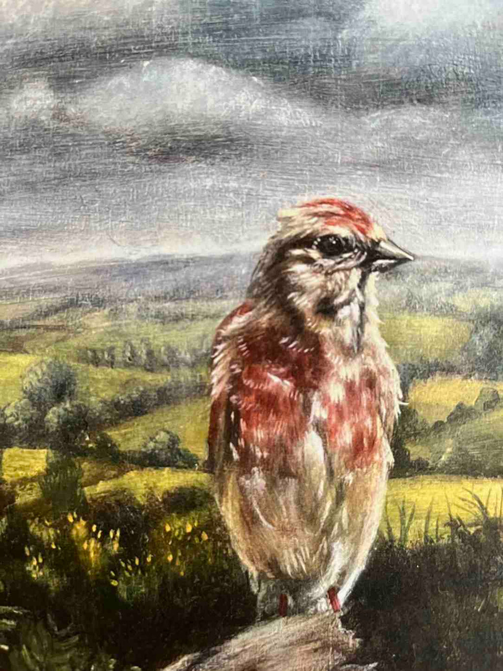 A painted artwork of a small brown and reddish bird standing in a grassy landscape under a cloudy sky.