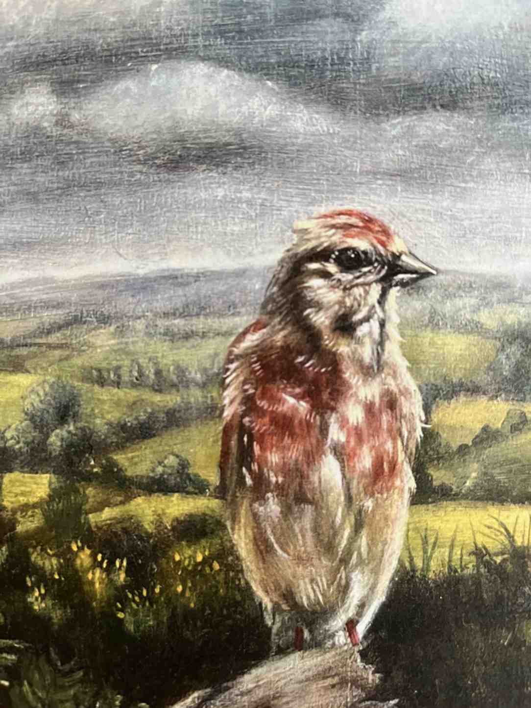 A painted artwork of a small brown and reddish bird standing in a grassy landscape under a cloudy sky.