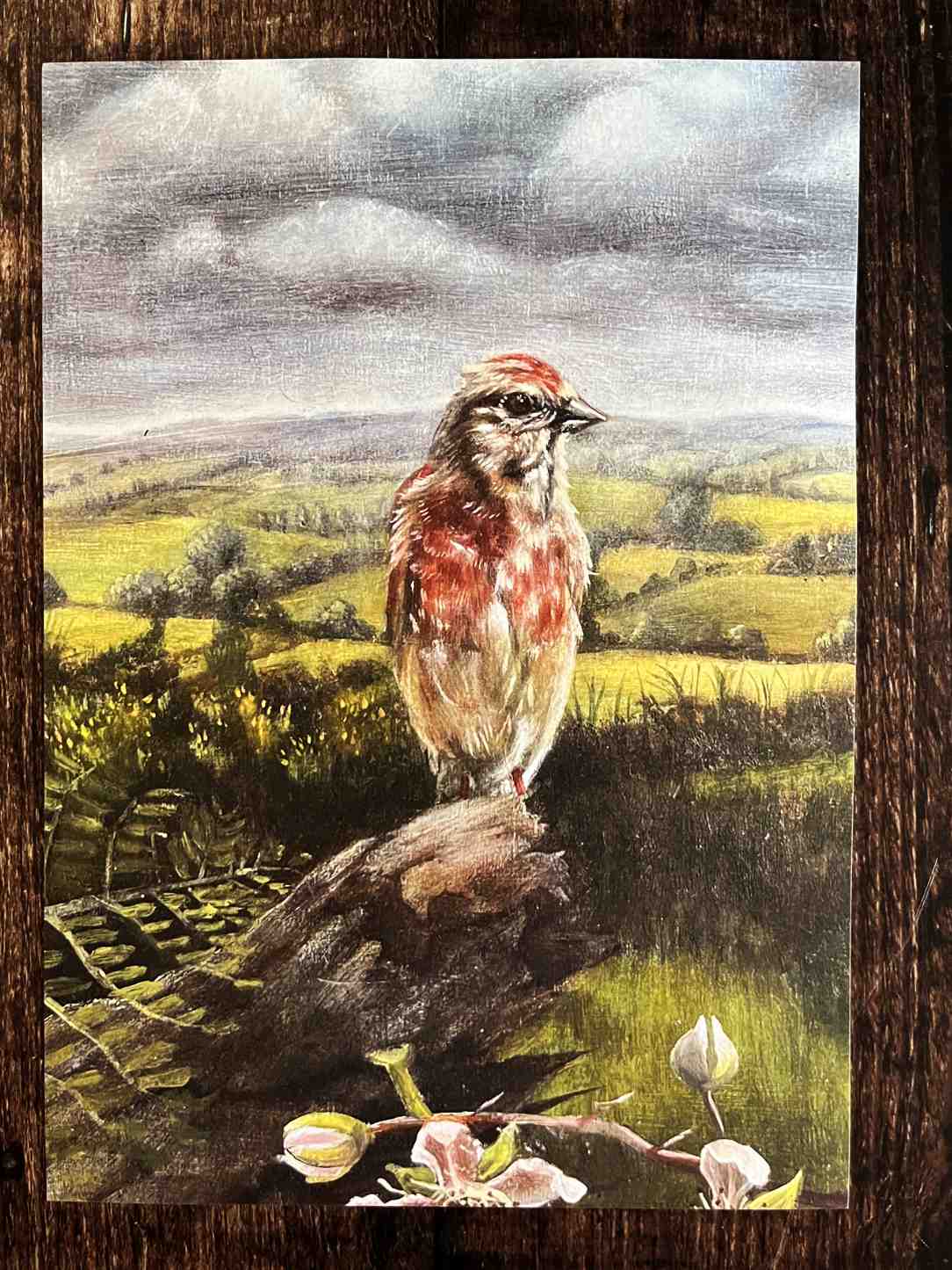 A square art print depicting a brown and red bird perched on a log in a grassy landscape under a cloudy sky, surrounded by a dark wood border.