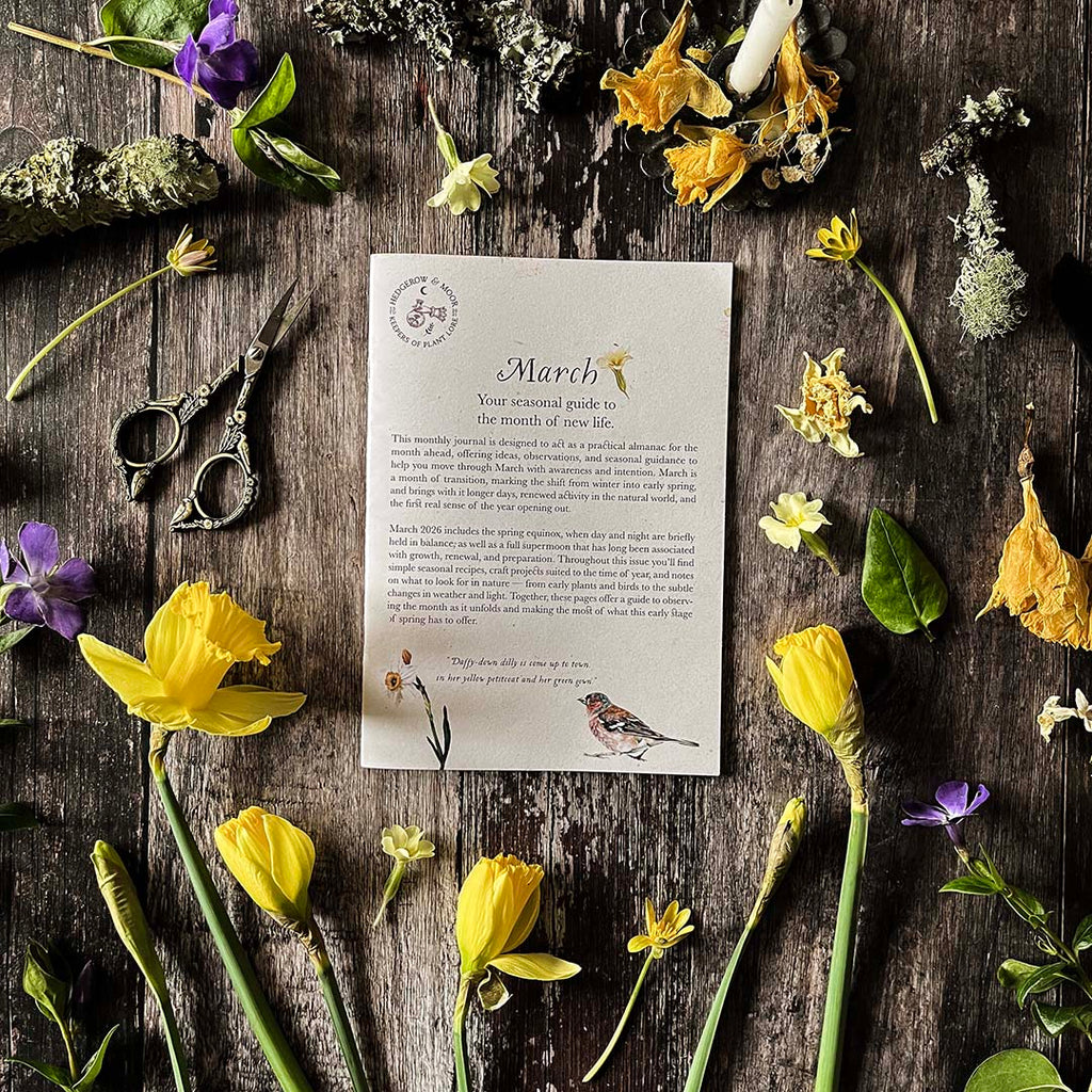 Spring Floral arrangement with a slow living zine on a wooden surface