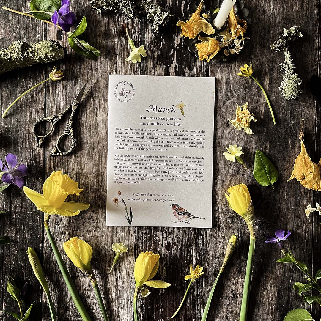 Spring Floral arrangement with a slow living zine on a wooden surface