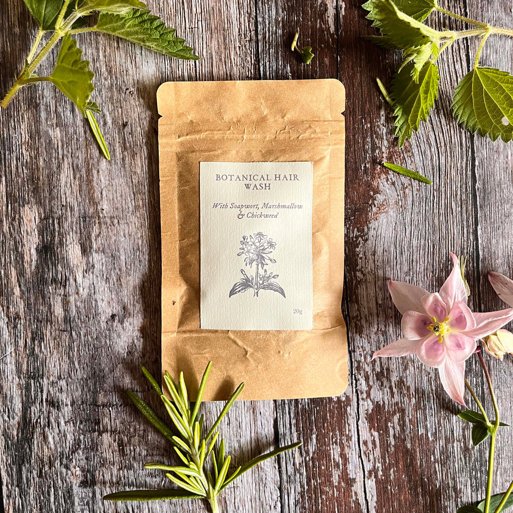 a Kraft plastic free push of hedgerow and moor botanical hair wash