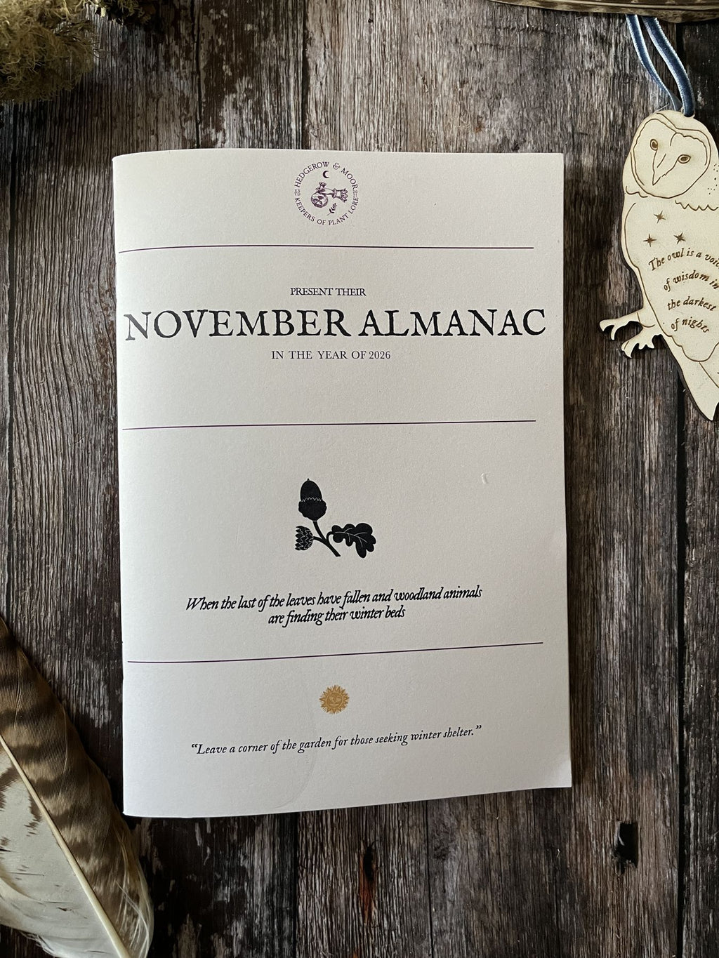 Front cover of the November 2026 Hedgerow & Moor Almanac zine, with an acorn illustration, photographed beside a wooden owl.
