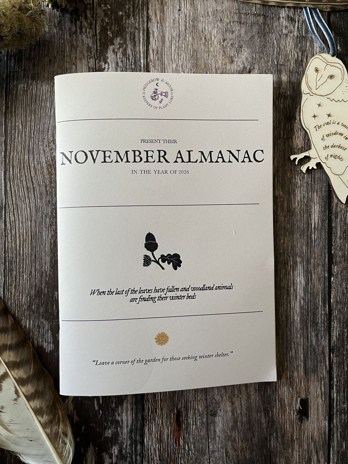 Front cover of the November 2026 Hedgerow & Moor Almanac zine, with an acorn illustration, photographed beside a wooden owl.