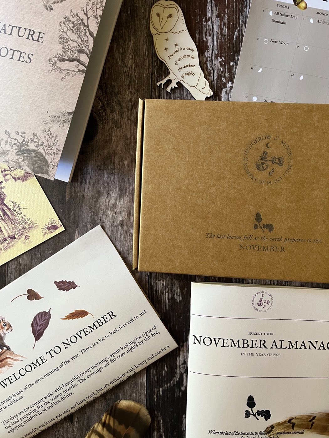 Detail of the Nature Notes notebook and wooden owl beside the November box, welcome card and Almanac zine.