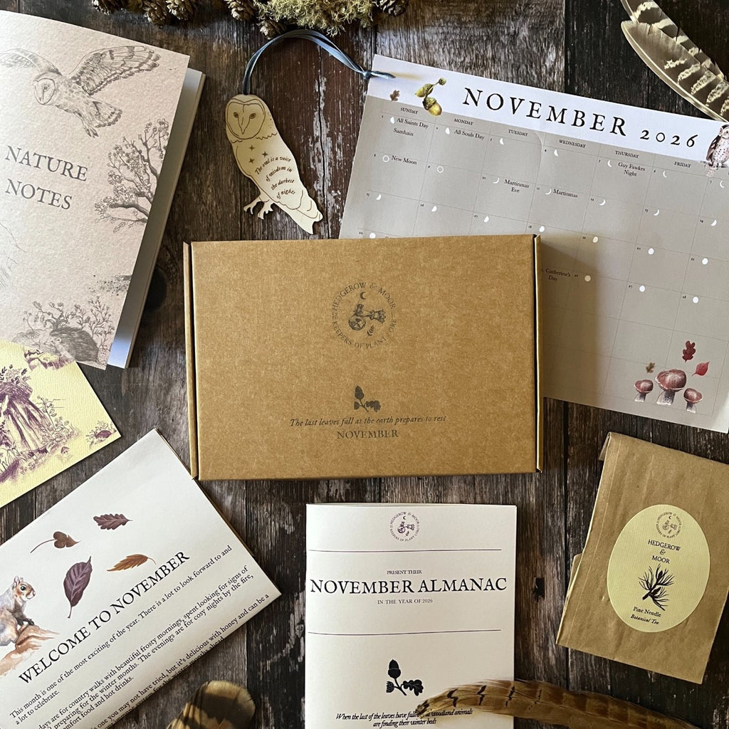 Kraft November box surrounded by the Almanac zine, Pine Needle Botanical Tea, Nature Notes notebook and welcome card.