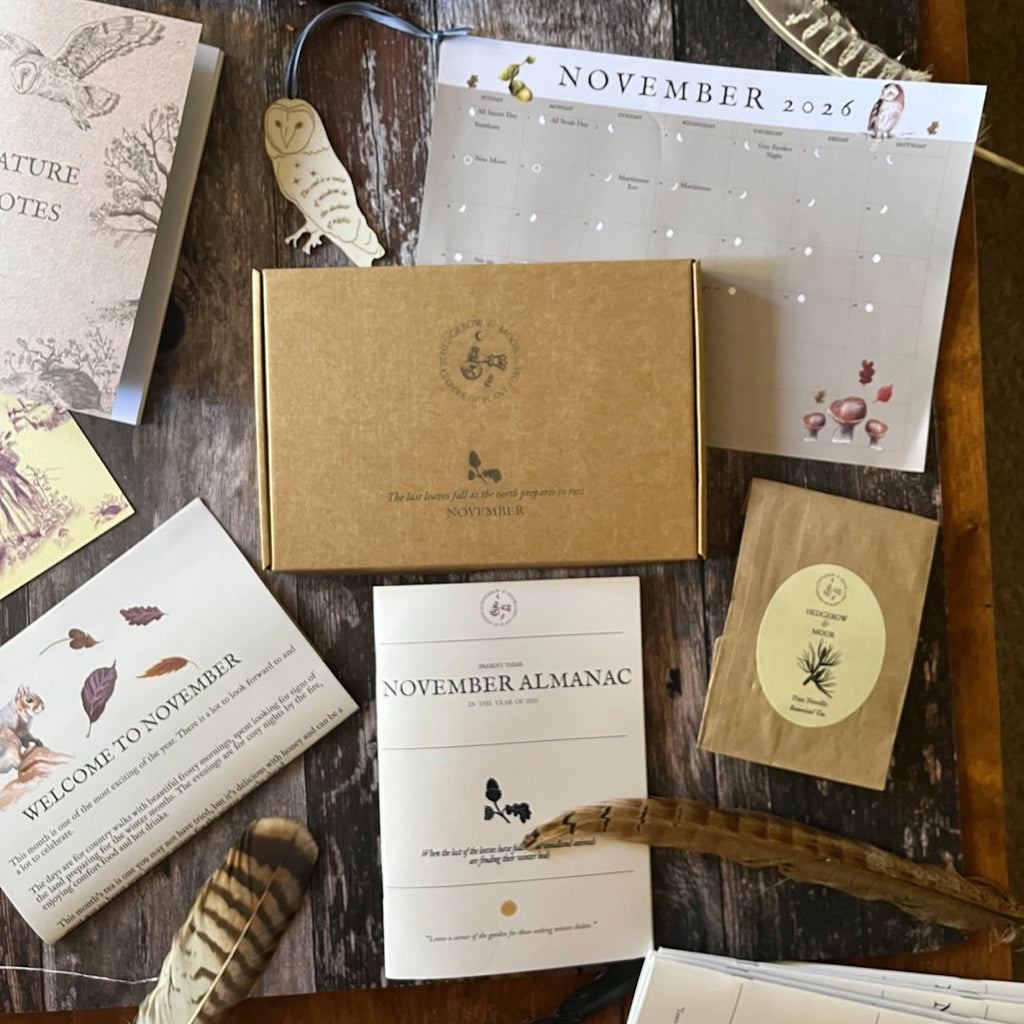 Overhead view of the November Almanac gift box with illustrated calendar, zine, Pine Needle Tea and owl decoration.