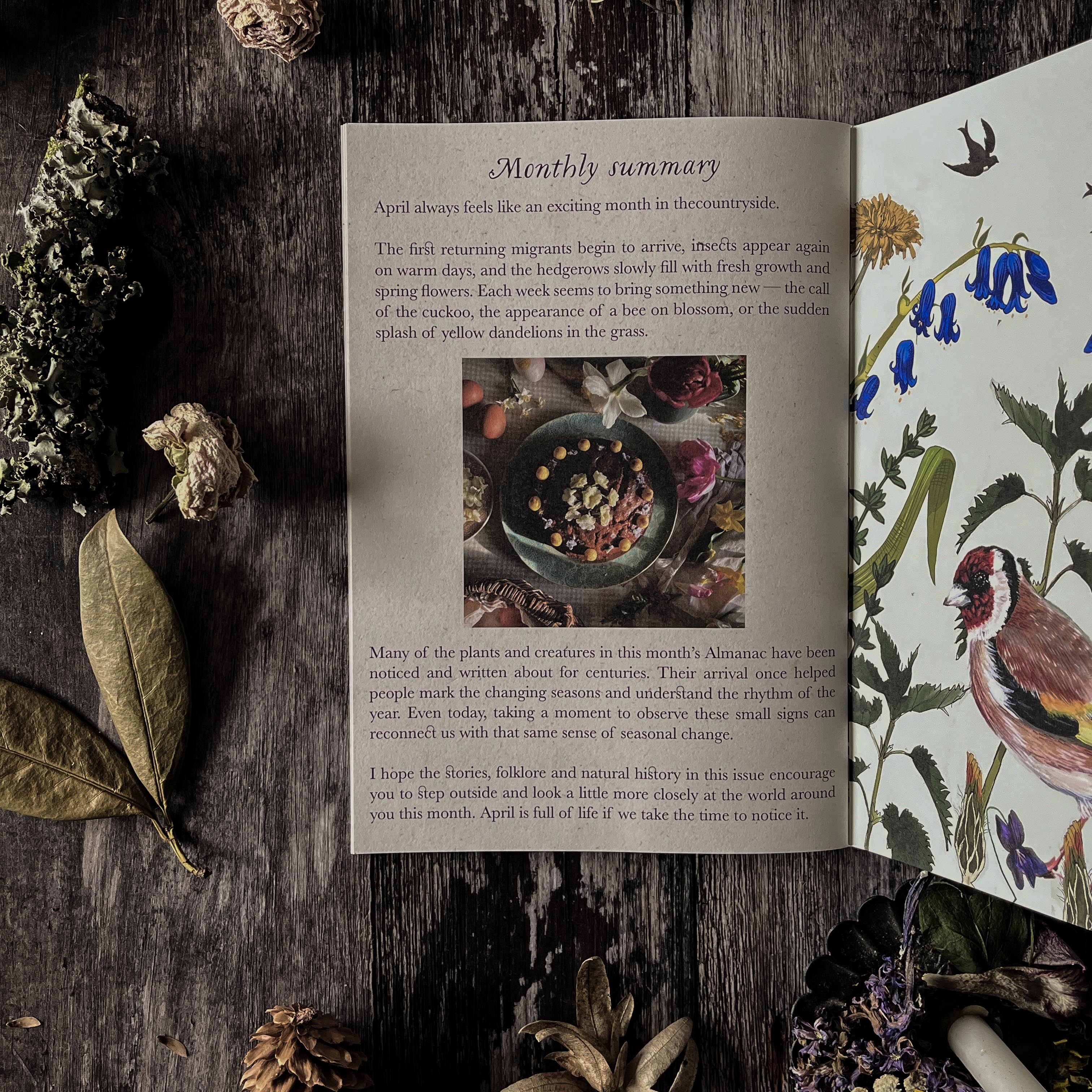 Hedgerow and moor zine showing seasonal recipes