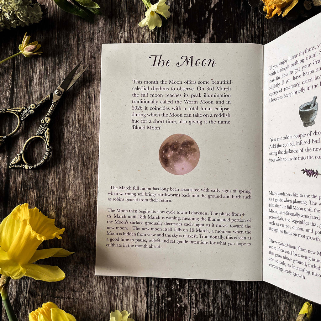Spring Floral arrangement with a slow living zine on a wooden surface