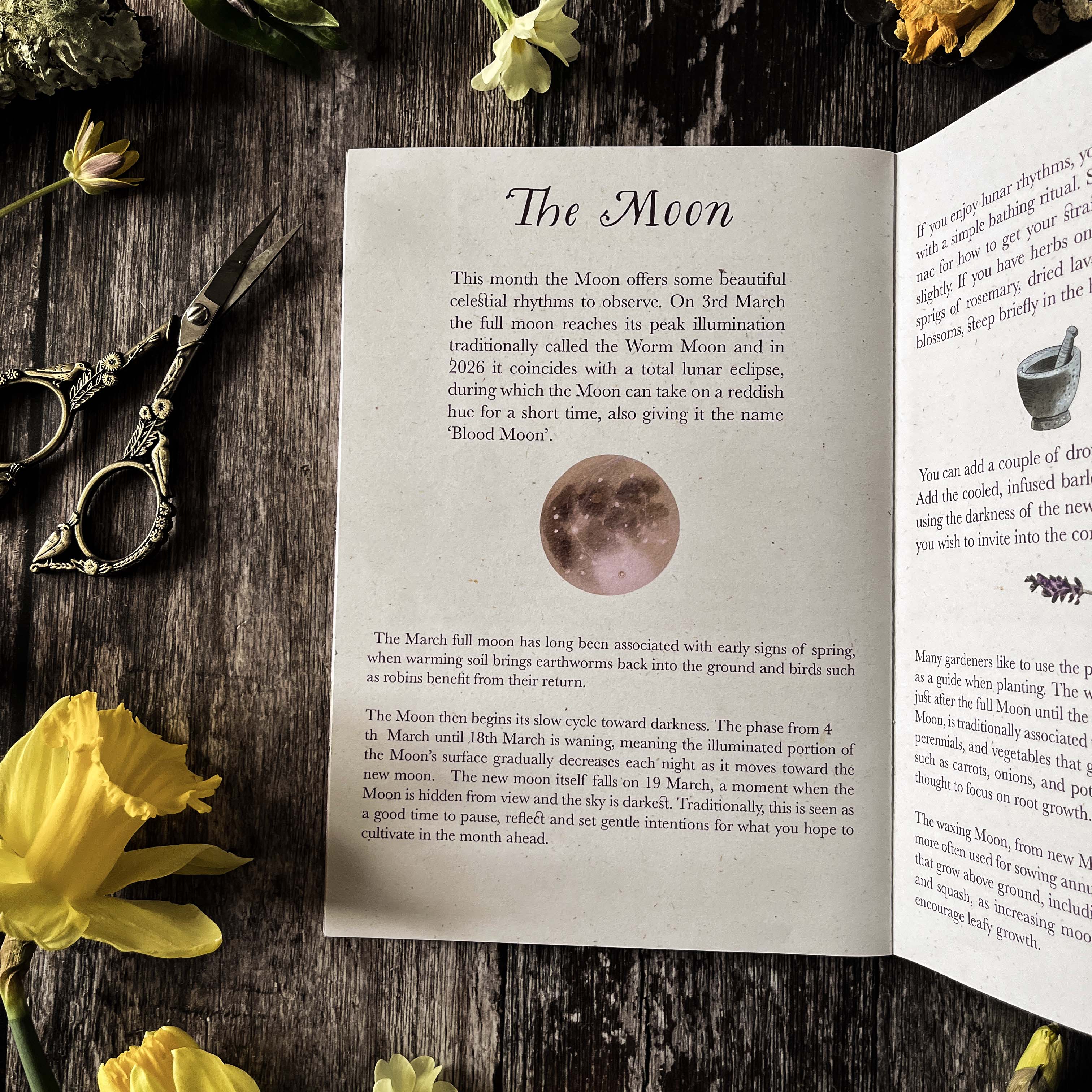 Spring Floral arrangement with a slow living zine on a wooden surface