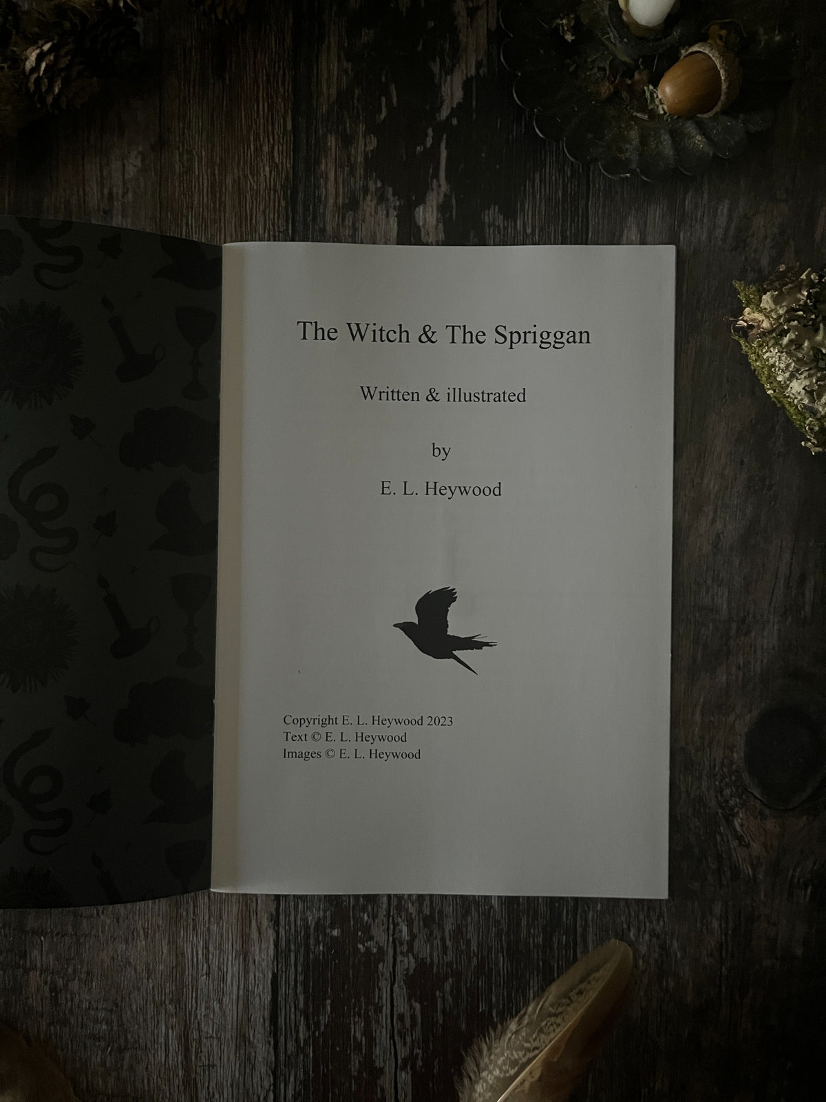 Title page of The Witch & The Spriggan, crediting writer and illustrator E. L. Heywood, copyright 2023.