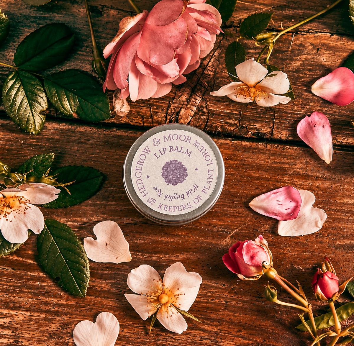Hedgerow & Moor Wild English Rose lip balm tin with pink roses and petals on a wooden surface